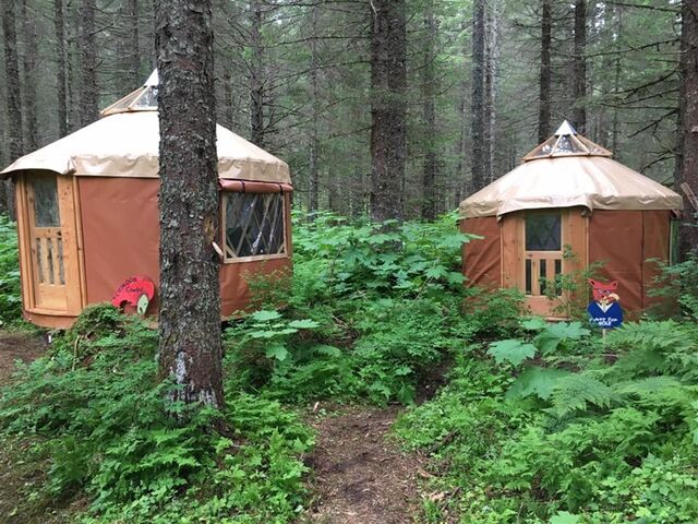 Image 18 for Yurt Grizzly Grotto