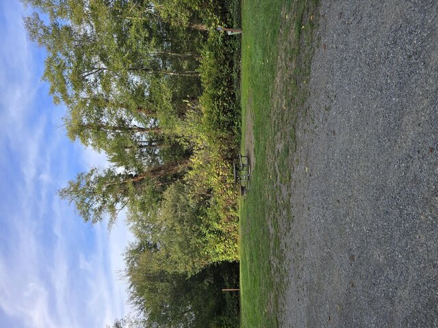 Image 3 for Alderwoods Standard Back-in RV Site 45'