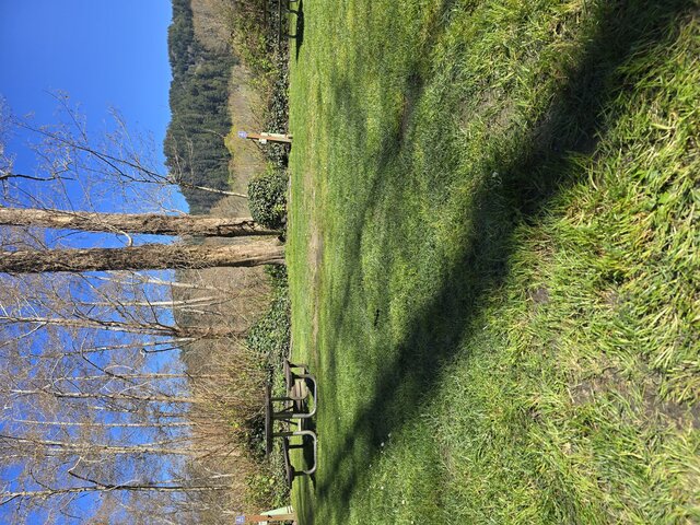 Image 1 for Alderwoods Standard Back-in RV Site 45'