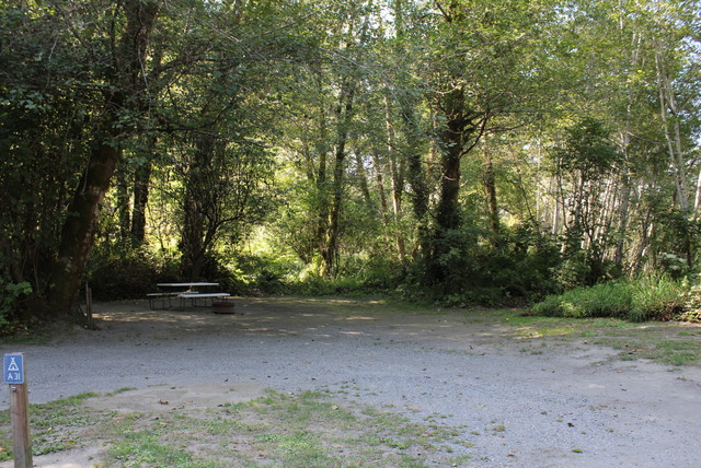 Image 7 for Alderwoods More Private Tent Site