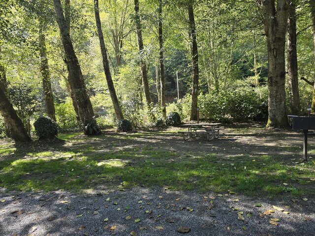 Image 6 for Alderwoods Water+Elec. Tent Site