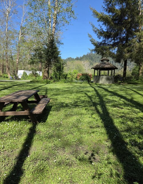 Image 3 for Cathedral Standard Tent Sites