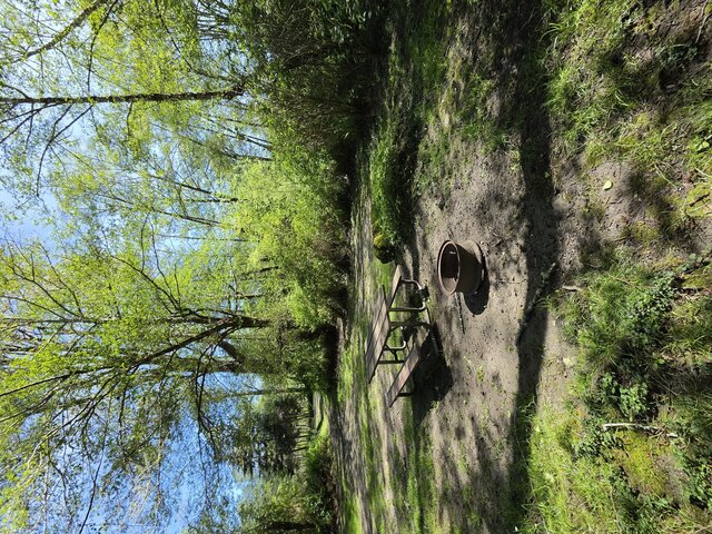 Image 2 for Alderwoods More Private Tent Site