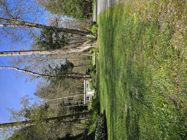 Image 2 for Alderwoods Water+Elec. Tent Site