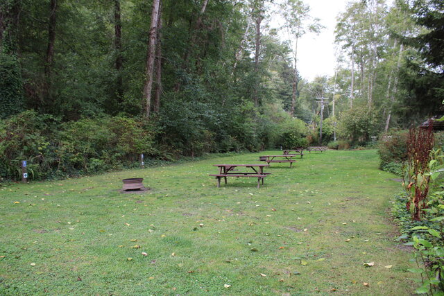 Image 7 for Cathedral Standard Tent Sites