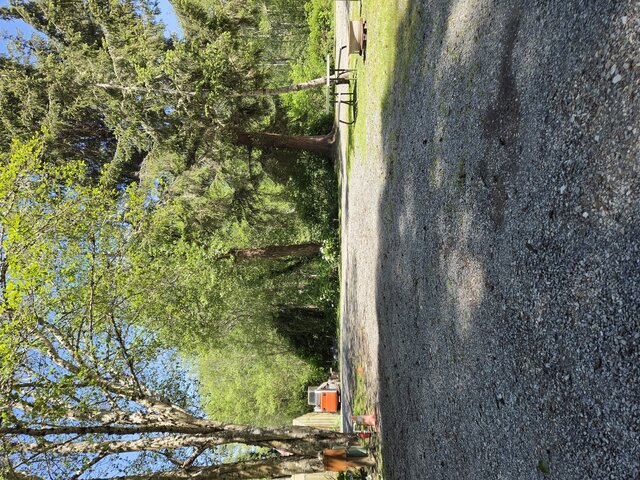 Image 4 for Mesa Standard Pull-through RV Site 45'
