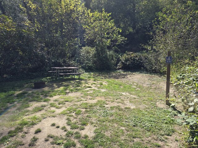 Image 4 for Alderwoods More Private Tent Site