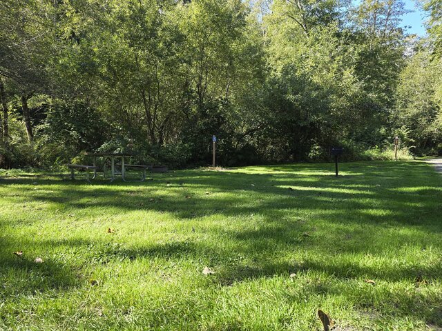 Image 3 for Alderwoods Standard Tent Site
