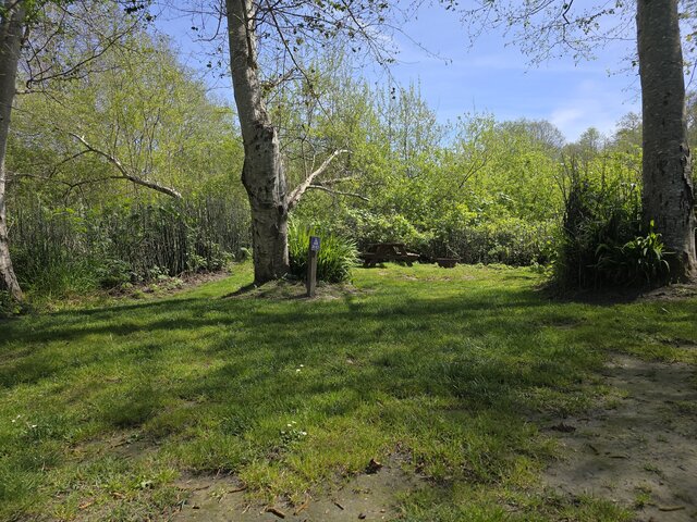 Image 3 for Riverwoods Remote Tent Site