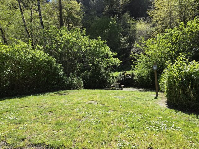 Image 2 for Alderwoods More Private Tent Site