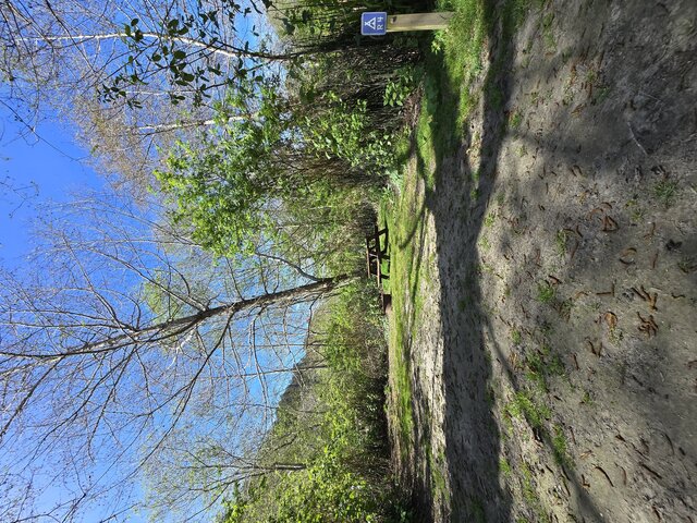 Image 1 for Riverwoods Remote Tent Site