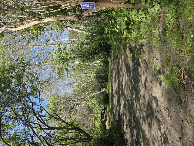 Image 2 for Riverwoods Remote Tent Site