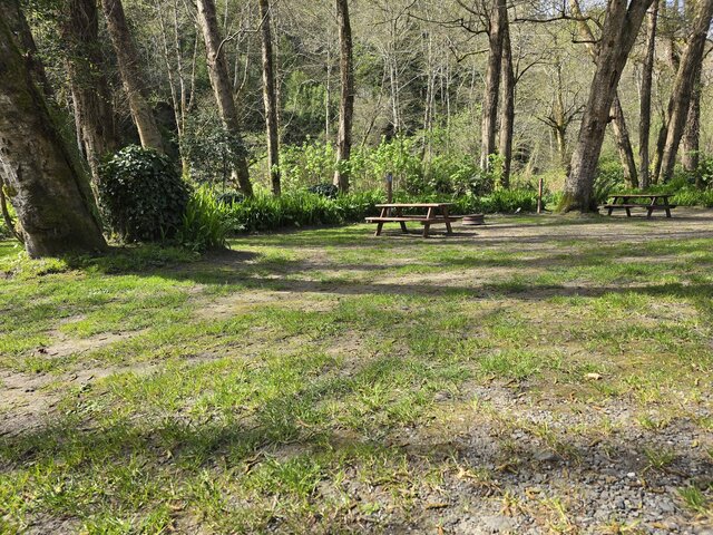 Image 1 for Alderwoods Water+Elec. Tent Site