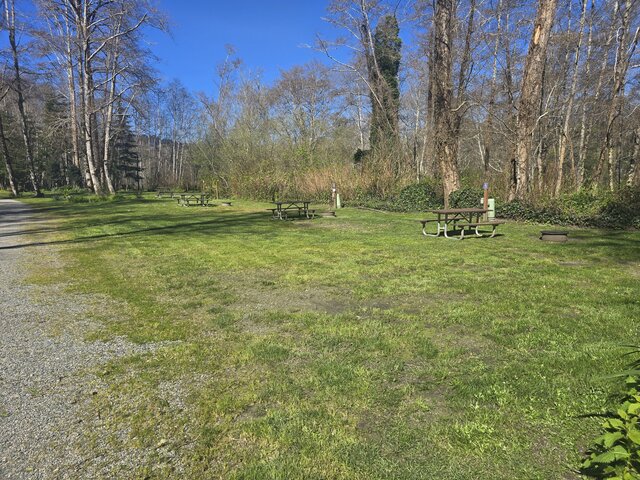 Image 4 for Alderwoods Standard Back-in RV Site 45'