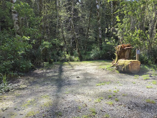 Image 4 for Alderwoods More Private Tent Site