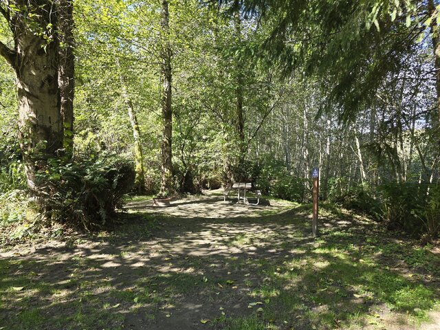 Image 3 for Alderwoods Standard Tent Site