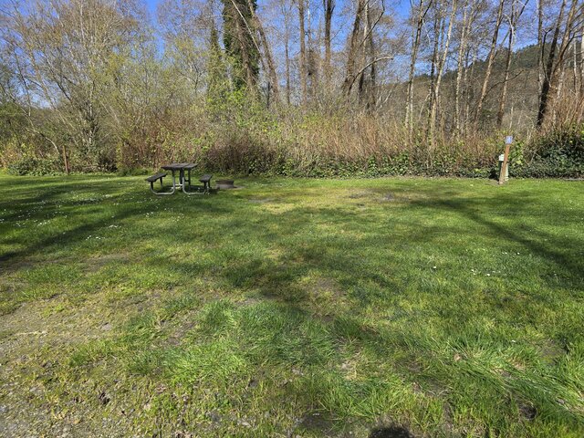 Image 2 for Alderwoods Standard Back-in RV Site 45'
