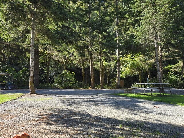 Image 6 for Mesa Standard Back-in RV Site 32'