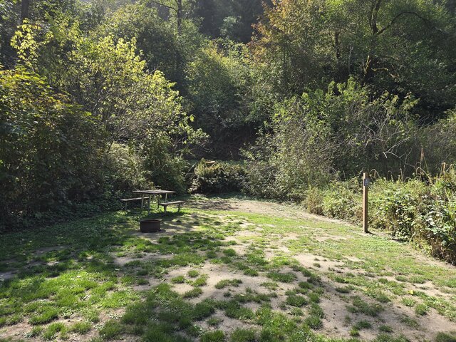 Image 5 for Alderwoods More Private Tent Site