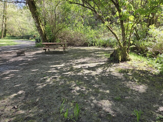 Image 3 for Alderwoods More Private Tent Site