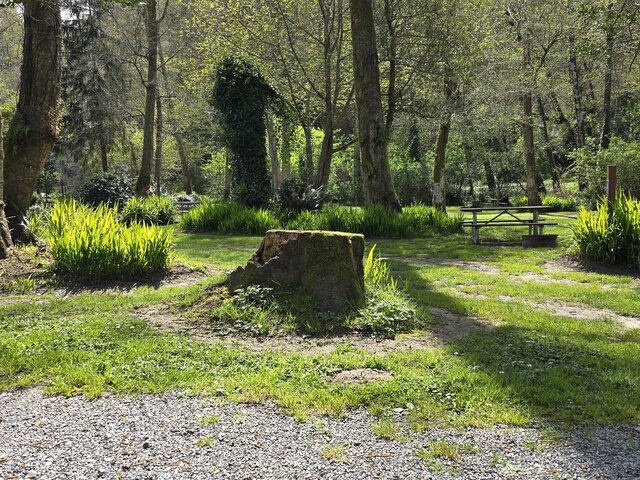 Image 3 for Alderwoods Water+Elec. Tent Site