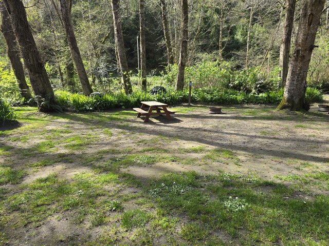 Image 3 for Alderwoods Water+Elec. Tent Site