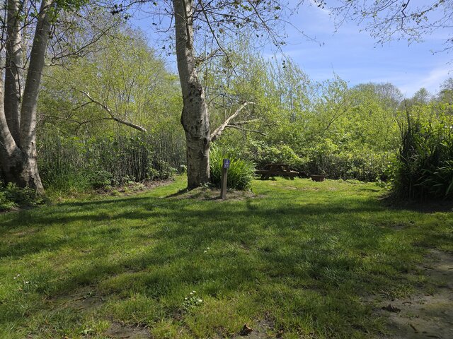 Image 1 for Riverwoods Remote Tent Site