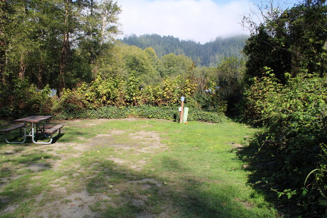 Image 3 for Alderwoods Standard Back-in RV Site 45'