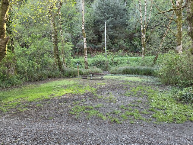 Image 6 for Alderwoods Standard Tent Site