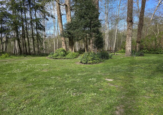 Image 3 for Alderwoods Standard Tent Site
