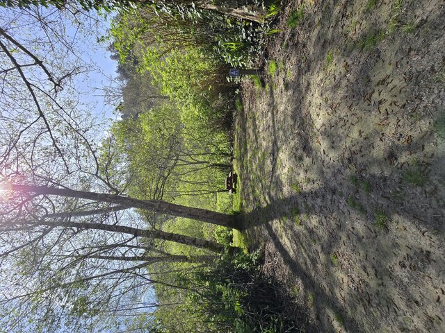Image 2 for Riverwoods Remote Tent Site