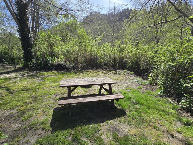 Image 3 for Riverwoods Remote Tent Site