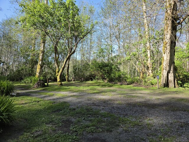 Image 3 for Alderwoods More Private Tent Site