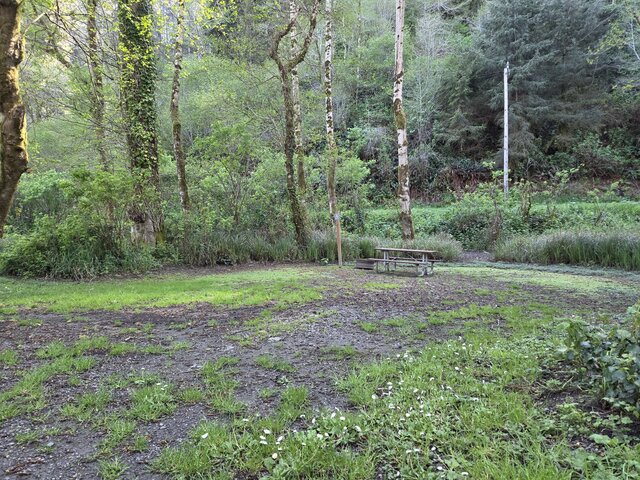 Image 5 for Alderwoods Standard Tent Site