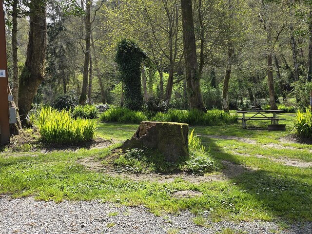 Image 4 for Alderwoods Water+Elec. Tent Site