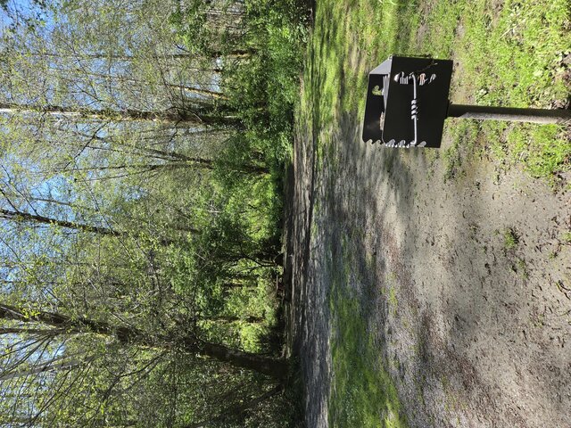 Image 4 for Alderwoods More Private Tent Site