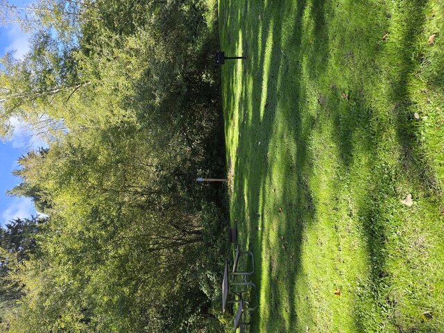 Image 4 for Alderwoods Standard Tent Site