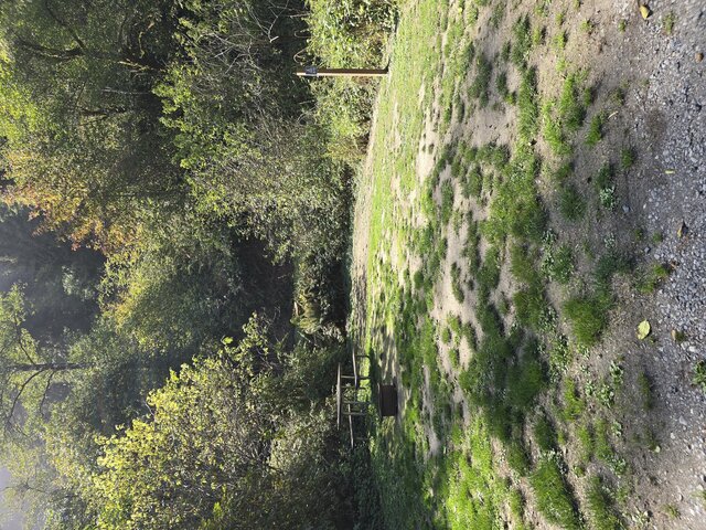 Image 6 for Alderwoods More Private Tent Site