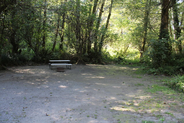 Image 8 for Alderwoods More Private Tent Site