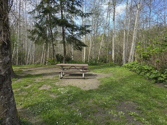 Image 1 for Alderwoods Standard Tent Site