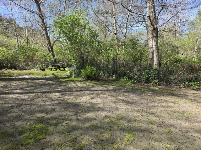 Image 4 for Riverwoods Remote Tent Site