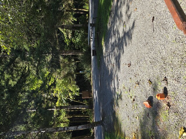 Image 7 for Mesa Standard Back-in RV Site 32'