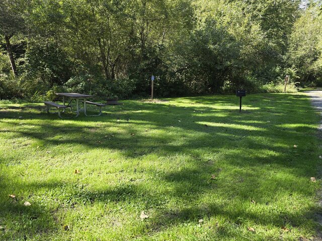 Image 1 for Alderwoods Standard Tent Site