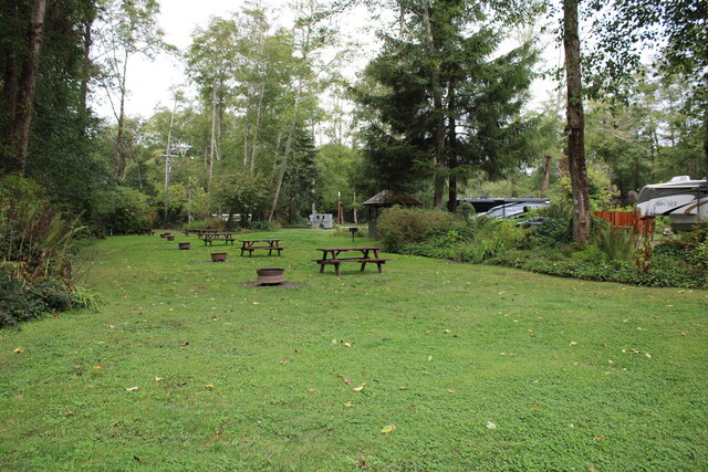 Image 6 for Cathedral Standard Tent Sites