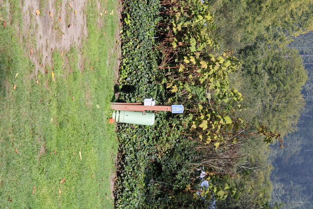 Image 5 for Alderwoods Standard Back-in RV Site 45'