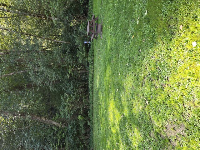 Image 5 for Cathedral Standard Tent Sites