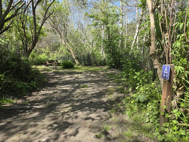 Image 1 for Riverwoods Remote Tent Site