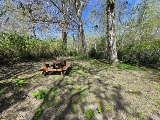 Image 3 for Riverwoods Remote Tent Site