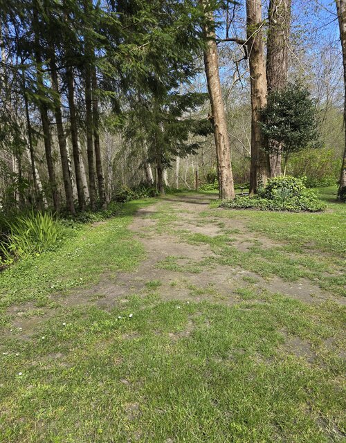Image 4 for Alderwoods Standard Tent Site