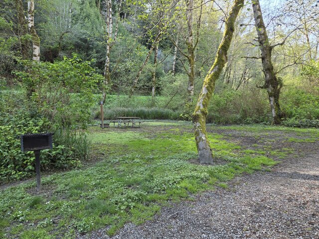 Image 3 for Alderwoods Standard Tent Site